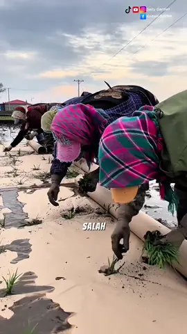 inovasi  keren para petani #pertanian #tipsberkebun #trikpintar #kreatif