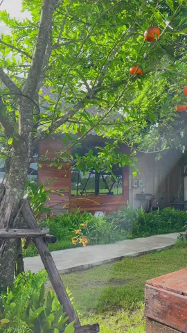 สวยจัง🌾☕️💗#cafe #cafe #คาเฟ่ #caferimna #คาเฟ่เปิดใหม่ #คาเฟ่ริมนาcaferimna #แนะนำคาเฟ่ในกรุงเทพ #เขตคลองสามวา #ตำลั่นทุ่งหทัยราษฎร์ #ตำลั่นทุ่ง #คาเฟ่ธรรมชาติ #คาเฟ่ธรรมชาติ #คาเฟ่ริมนาตําลั่นทุ่งคาเฟ่ริมนา #คาเฟ่แนะนํา #คาเฟ่ริมนา #คาเฟ่วิวธรรมชาติ #คาเฟ่ริมนาตำลั่นทุ่ง 