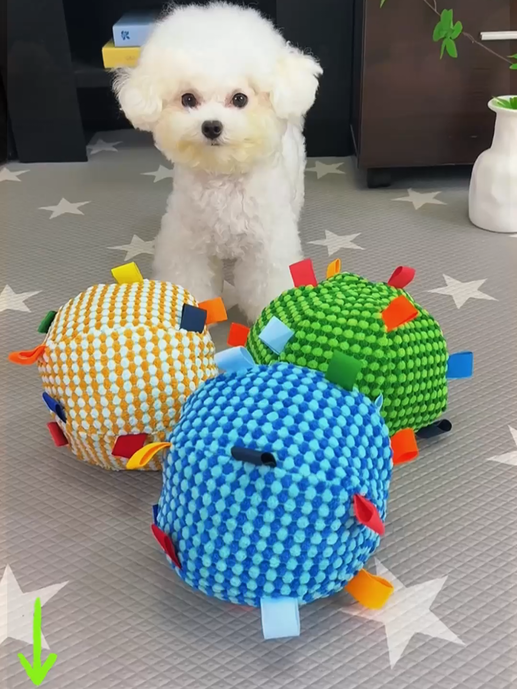 Bóng nhồi bông cho cún #dochoithucung #dog #poodle #bichon #pet #cunyeu 