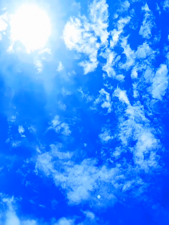 #বুন্ধু  মন বাগিয়া চয়লা গেলে সুক।মিলে না মিলে না 🌴📸🥹🤦‍♂️#fouai #0p0ppppppppppppppppppppppppppppppppppppppp0ppppppvvvvvvvvvvv#viralvideotiktok vvvvvvvvvvvvvvvvv@🌴📸 প্রকৃতির প্রেমিক লিজন📸🌴 vvvvvvvvvvhttps://vt.tiktok.com/ZSBWASaYH/vvvvvvvvvvvvvvvvvv