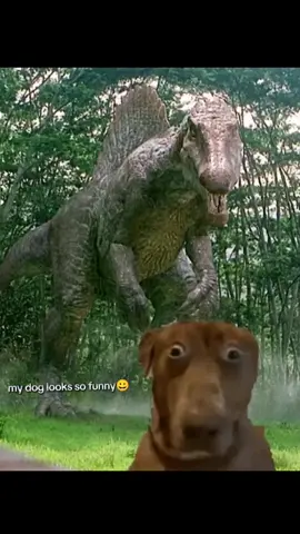 we had to go #spinosaurus #meme
