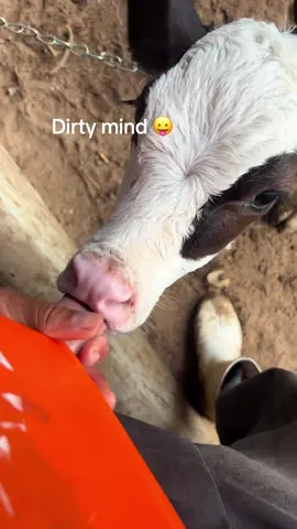 #stitch with @Rjunio #fypシ゚viral #dirtyminnd😂 #funnyvideos  🤣🤣🥲🥲🥲🙂