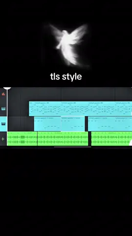 @DJ TLS DA ZL #targetaudience #funk #djflg 