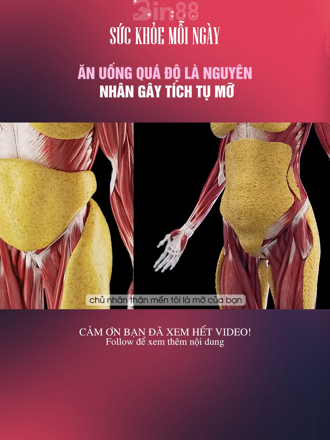 ĂN UỐNG QUÁ ĐỘ LÀ NGUYÊN NHÂN GÂY TÍCH TỤ MỠ#LearnOnTikTok