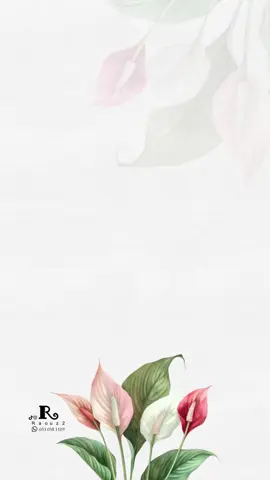 دعوة عشاء #دعوات_الكترونيه #دعوة_الكترونية #دعوة_عشاء #دعوة #تهنئة #بشارة_مواليد 