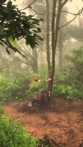 ❤️‍🩹#fypシ゚ #fypp #fyp #4u #pendaki #cantik #fyppppppppppppppppppppppp #fypシ゚viral 