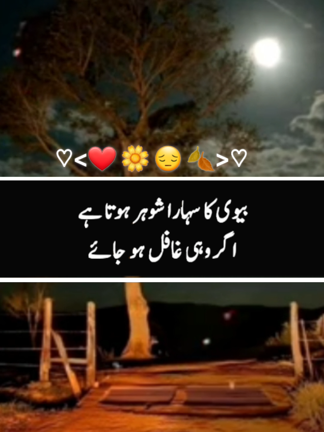 #trendingvideo #anmol #urdupoetry #motivational #speechless #deeplines #viralvideo #fyp #foru #tik_tok #loveyou #mrswaqas #lines🔥 