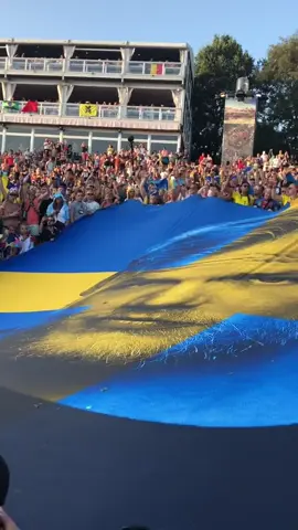 TOMORROWLAND #belgium🇧🇪 #tomorrowland2025 #electronicmusic #AVICII #aviciiforever 