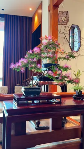 #gocnhantan #nhansinhcamngo 