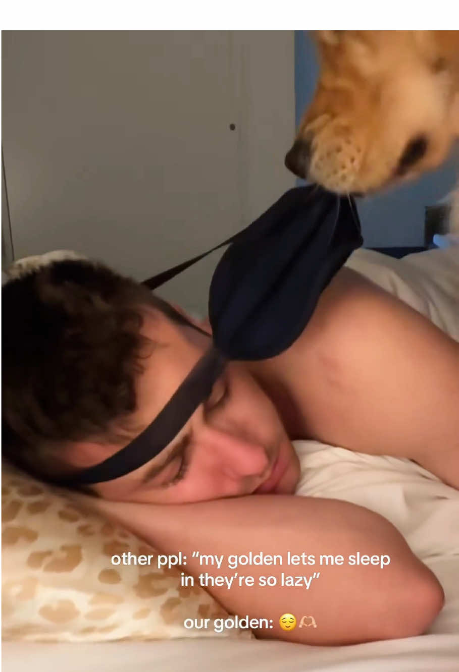 DOG ALARM CLOCK FAILS! 🤯⏰ #MorningChaos   #DogAlarmClock #GoldenRetriever #MorningRoutine #PetComedy #ViralDogs