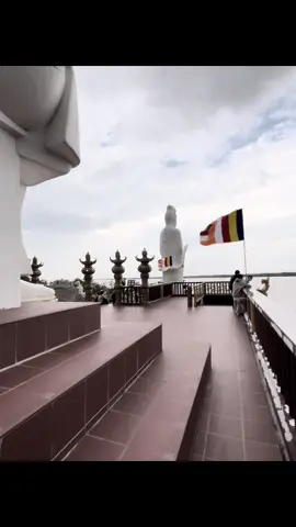 tiền bạc, người bạc mất đi tính nhân…🪷🪷#xhtiktok #fyp #phậtpháp 