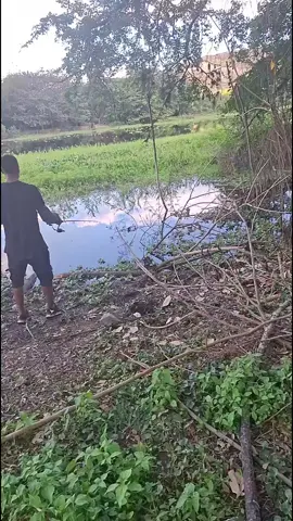 #moto #cali #colombia #viralvideos #paratii #pesca #pescador #viral