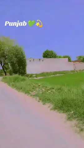 #Punjab #hyeeeee________🙈🔥😘❤️😜 #Wasupanwar #viral #foryoupage #trending @TikTok @Sid Mr. Rapper🔥 