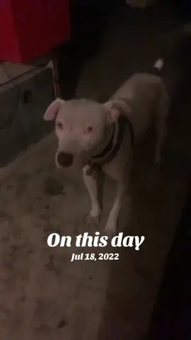 #onthisday 