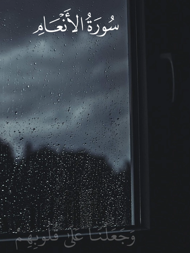 #قران #قرآن #قران_كريم #quran #quranreaction #foryourpage #xybca #rain 