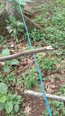 #PakistaniDrama  #ONLYKINGSHOAIB  #DramaZone  #OfficialChannel  #PakistaniTikTok  #ForYou  #ViralVideo  #TikTokPakistanOfficial  #Only_King_Shoaib00  #ExposePoint #Team7Bro  #FYP #RelatableContent  #DramaticStory  #EmotionalScene  #ViralPakistaniDrama  #GrowTogether  #exposepoint  #team7bro  #foryoupage #foryou  #account #grow  #video #Viral