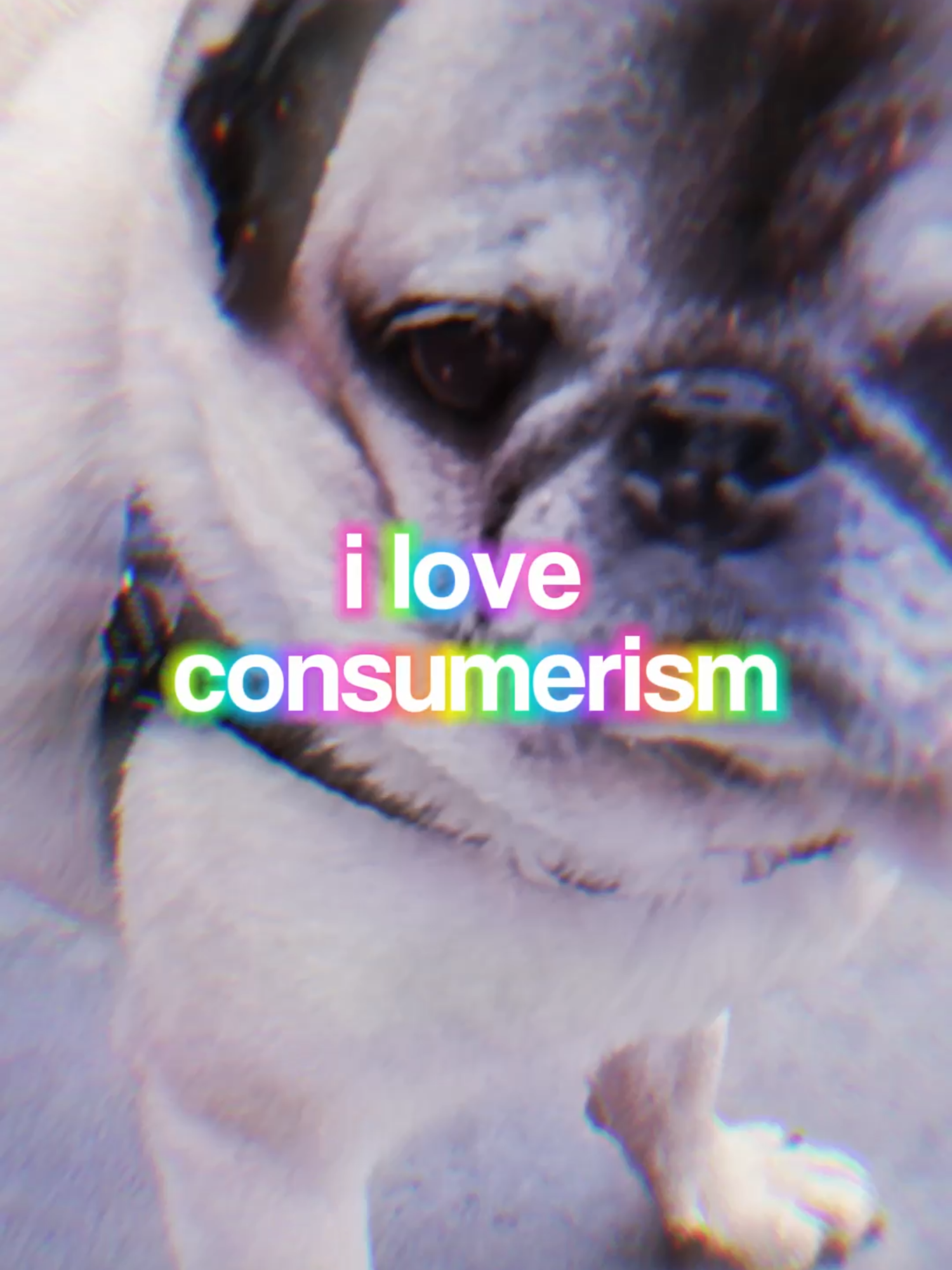 I LOVE CONSUMERISM! 💵🛍️ Benson Boone: I yearn for your Jet2 Holiday, Moonbeam Ice Cream, Crumbl Cookie, Dubai Chocolate, 24 Karat Gold Labubu, Cupertino, Pop Mart, Temu, Matcha, ChatGPT Plus! #americacore🚘🏈🍔🇺🇸 #satire #weirdcore #dreamcore #brainrotcore #consumerism #bestproductstobuy