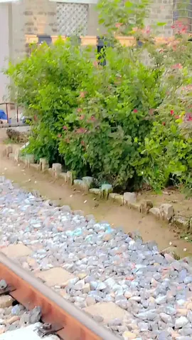 uzairkhan