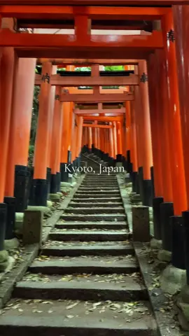 Kyoto was so fun ⛩️#japan #kyoto #おすすめ#fyp #xybca 