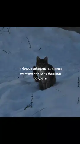 #щп #щпост #обида #грусныйщп 