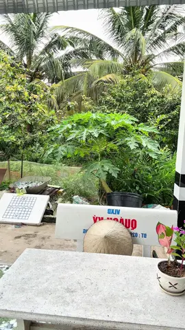 Bàn học ngồi bệt gấp gọn cho học sinh, sinh viên ngồi học quá tiện đang sale nữa giá#banhocsinh #banhocgapgon #banhocngoibet #banngoibet 