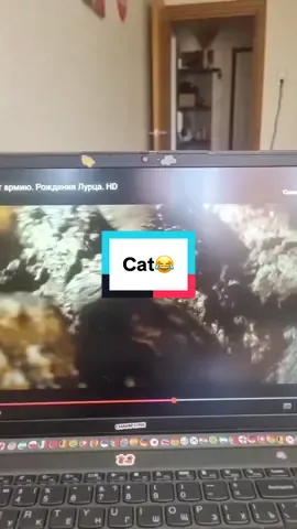 Lord of the Rings Cat 😂 #lotr #lordoftherings #cat 