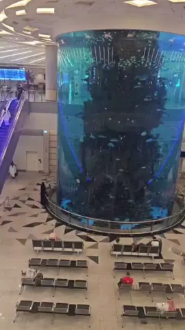 wait and Watch ❤️‍🔥