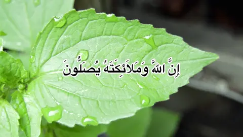 #قران_كريم #يوم_الجمعه #ان_الله_وملائكته_يصلون_على_النبي #explore 