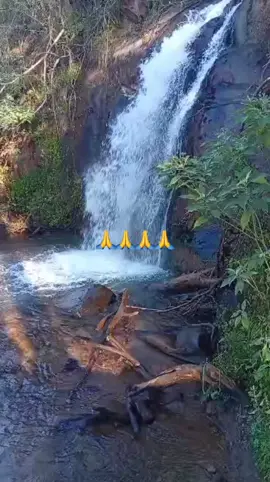 🙏🙏