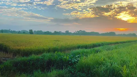 #CapCut Chill video music with sky sunrise . #radio #sunrise #sky #chill 