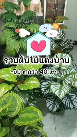 🌳🏡ต้นไม้แต่งบ้าน 💥ราคาถูก💥 พร้อมกระถาง + หินโรย สูง 75-80 ซม. 18 ก้าน 18 ใบ ใบสวยเสมือนจริง 👉กดเลือกดูแบบที่ตะกร้าก่อนได้นะคะ #ต้นไม้  #ต้นไม้แต่งบ้าน  #ต้นไม้มงคล  #tiktokแต่งบ้าน  #tiktokshop 