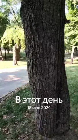 #ВэтотДень