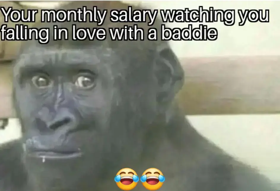 #fyp #southafricatiktok🇿🇦l 😂😂