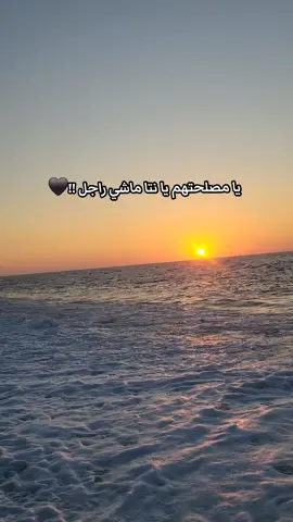 #algeria #explore #fypシ゚ #video #capcut_edit #viralvideos #الحمدلله_دائماً_وابداً #mouloudia_virage_sud🇮🇹🙏 #الشعب_الصيني_ماله_حل😂😂 