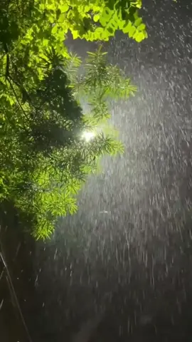 #هاشتاقات_تيك_توك_زيادة_مشاهدات #محمد_ريحت_مطر_وجوا_ليل #السعودية_الكويت_مصر_العراق_لبنان #لايك_متابعه_اكسبلور 