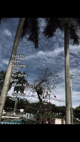 #caphay #xuhuong #tamtrang #chill #bongcute_57 