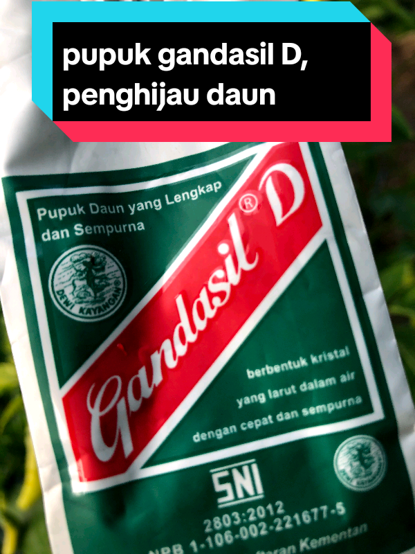 pupuk gandasil Daun #pupukgandasil #pupukgandasild #gandasild #petanimuda #petaniindonesia🇮🇩🇮🇩🇮🇩🌿🌿 #petanicabe #fyp 