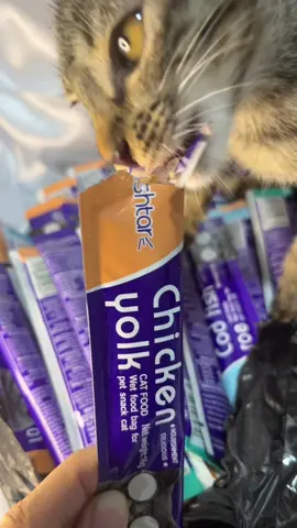 lakas kumain tapos sarap ng tulog after #catfood #wetfood 