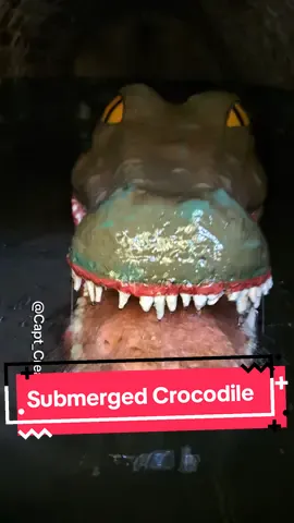 Just listen to that water drip 😁 #submechanophobia #submech #submerged #submergedanimatronics #wateranimation #wateranimatronic #crocodile #crocodileanimatronic #animatronic #fnaf #rockafireexplosion #watermouthcastle #ilfracombe #underwater #underwateranimatronic #themepark #england #eerie #creepy #spooky 