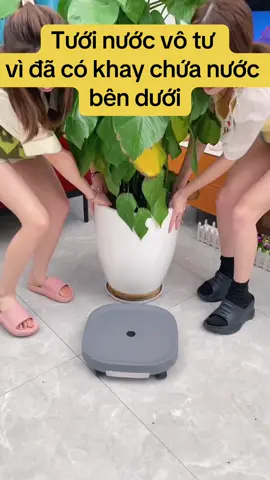 Khay đế chậu cây có 4 bánh xe di chuyển dễ dàng, có khay chứa nước bên dưới tiện lợi, không lo ngập úng cây. Nhựa PP nguyên sinh bền và dẻo dai