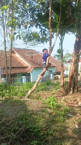 teu kuat hyg seri 🤣🤣bisa naek teu bisa trun🤣