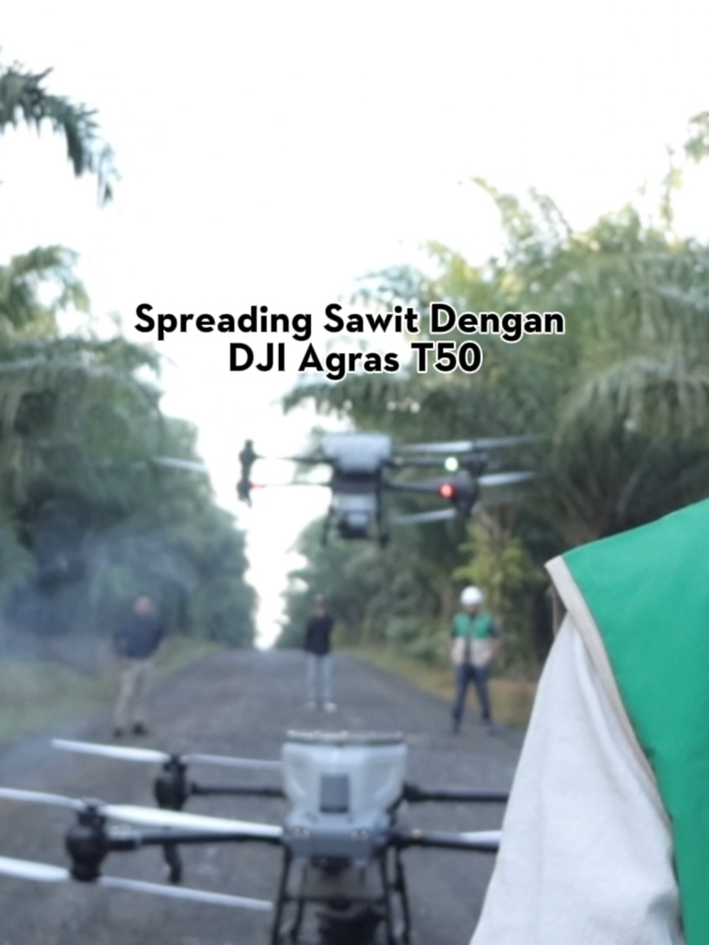 Spreading pupuk sawit sekarang bisa lebih cepat dan efisien dengan DJI Agras T50. Cocok buat lahan luas & kerja berat! #DJIAgras #DronePertanian #TeknologiPertanian #FYP #DJIAgrasT25 #PetaniModern #TribuanaAgriculture #DJIAgriculture #TSIT #dronetech #DJlIndonesia #agriculturaldrone #djiagras #djiglobal