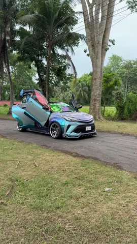 ওই কীরে? 🔥🐸❤️ #modifiedchr #toyota #toyotachr #chrbangladesh #foryou 