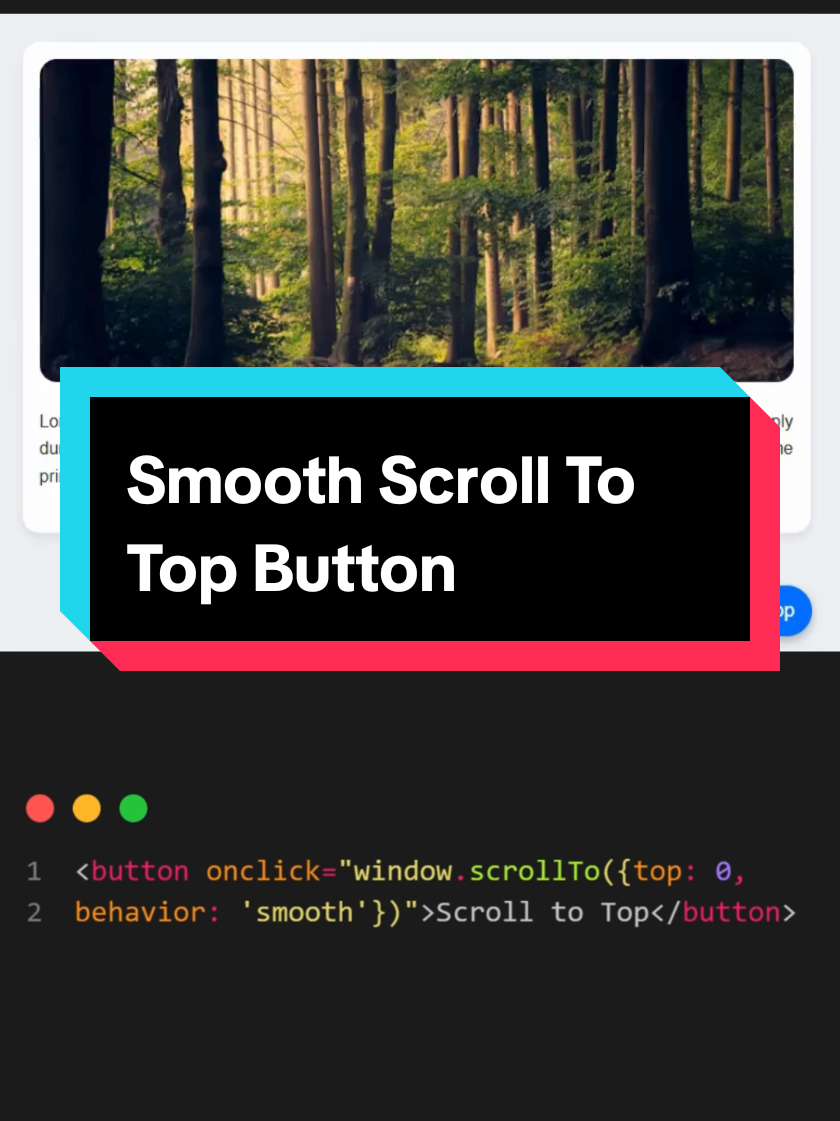 Smooth Scroll To Top Button #creativedesign #webdesign #cssanimations #webdesign 