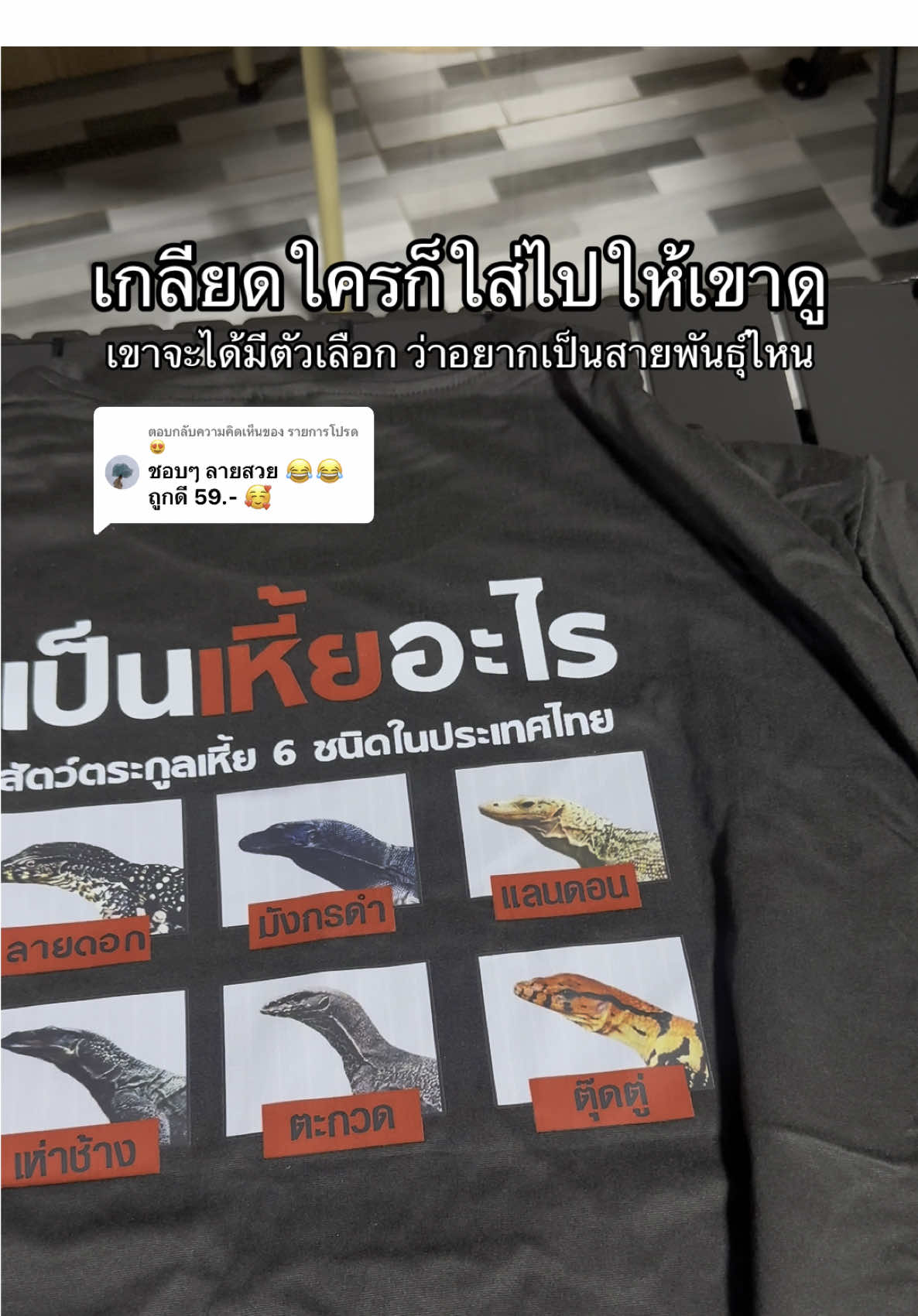 ตอบกลับ @รายการโปรด 😍 #เสื้อยืดกวนๆ #เสื้อยืดฮาๆ #เสื้อยืดกวนบาทา #เสื้อยืดสายกวน #เสื้อยืดขำๆ#เสื้อยืดขําๆเน้นหล่อเน้นฮา ##เสื้อยืดสายฮา##เสื้อยืดพูดแทนใจ#เสื้อยืดคำกวน#เสื้อยืดคํากวน #เ#เสื้อยืดโหมดกวนเ#เสื้อยืดใส่แล้วฮาเ#เสื้อยืดใส่แล้วปั่นเ#เสื้อยืดขี้เล่นเ#เสื้อยืดแซวเพื่อนเ#เสื้อยืดเรียกเสียงหัวเราะเสื้อยืดโดนใจสายขำ#เสื้อยืดโดนใจสายขํา#เสื้อยืดมุกตลก้อยืดแนวขำ#เสื้อยืดแนวขํานๆ #เสื้อ#เสื้อยืดขี้เกียจจริงจังอ#เสื้อยืดบอกอารมณ์อ#เสื้อยืดอารมณ์ดีอยืดสร้างรอยยิ้ม