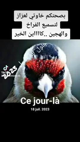 #cejour-là 