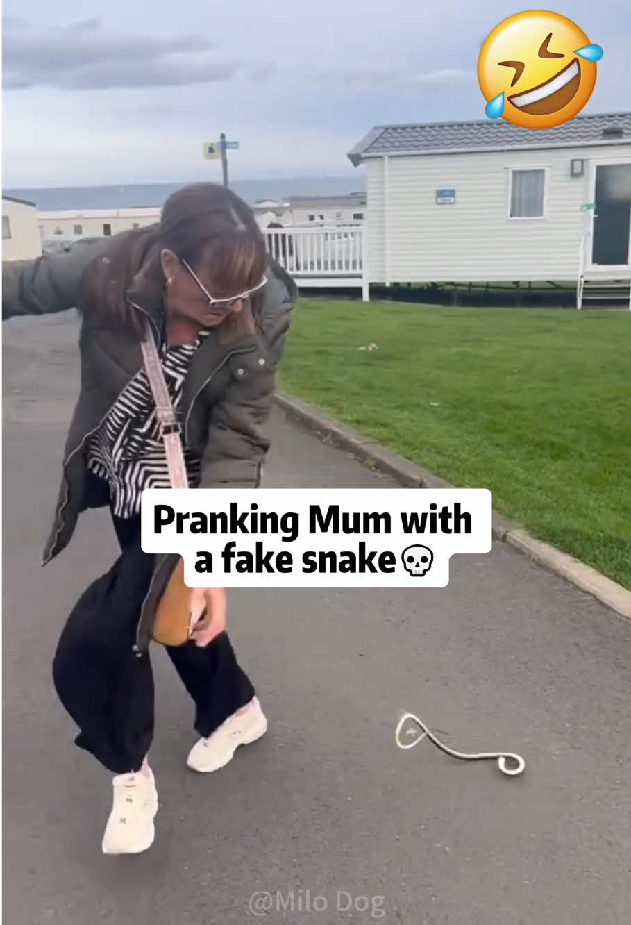 “don’t panic “..It was fake 🤣💀#funny #dog #prank #funnyvideos #foryou #snake #pet #fun  #foryoupage 