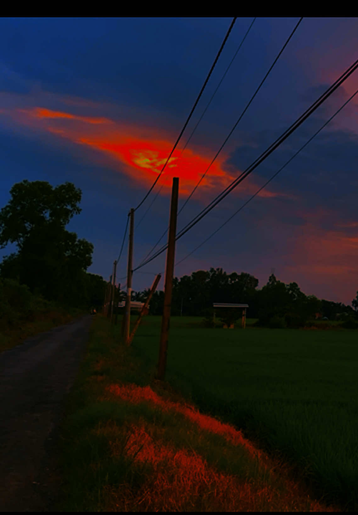 Anh đây mới có 21 thôi 🥲📸🌾#xuhuonggg 