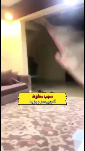 💥 “الجيبسوم بورد بيقع ليه؟! 🙈 لو الشاسيه المعدني مش صح.. حياتك في خطر! ⚠️” #جيبسوم_بورد #شاسيه_معدني #سقف_معلق #اخطاء_الجبسوم #تشطيبات #مينا_ارنست #كورس_التشطيبات #era_e #ديكور #مقاولات