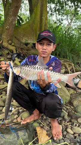 Mancing ikan wader babon di pinggir sungai #youtubjejaktupai #yanglagiviral #ikanwader 